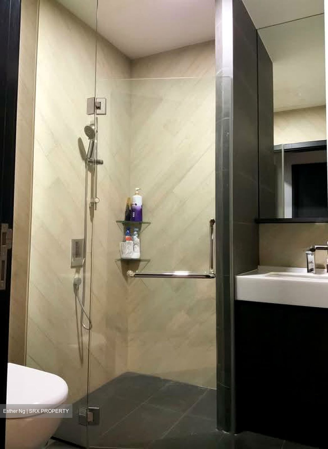 The Orient (D5), Apartment #544387581